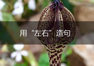 用“左右”造句