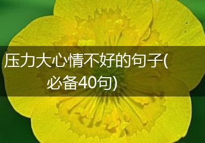 压力大心情不好的句子(必备40句)