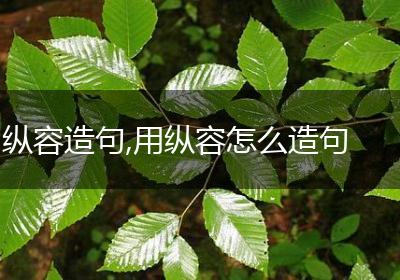 纵容造句,用纵容怎么造句
