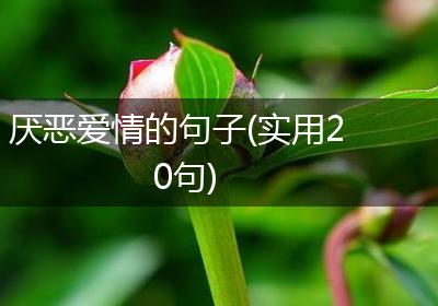 厌恶爱情的句子(实用20句)