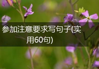 参加注意要求写句子(实用60句)