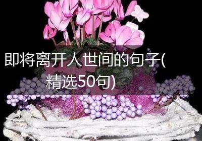 即将离开人世间的句子(精选50句)