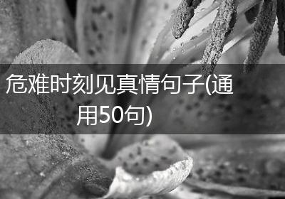 危难时刻见真情句子(通用50句)