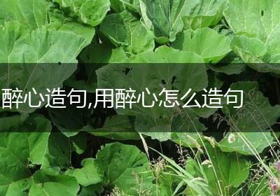 醉心造句,用醉心怎么造句