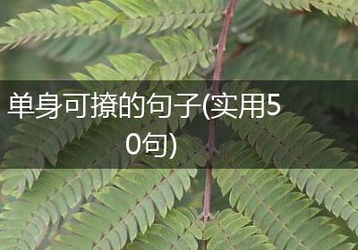 单身可撩的句子(实用50句)