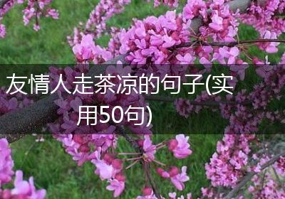 友情人走茶凉的句子(实用50句)
