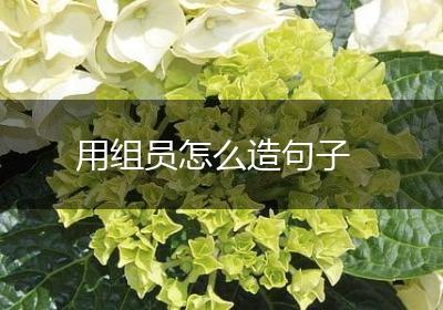 用组员怎么造句子