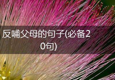 反哺父母的句子(必备20句)