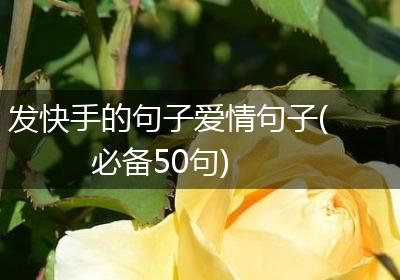 发快手的句子爱情句子(必备50句)