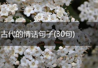 古代的情话句子(30句)