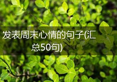 发表周末心情的句子(汇总50句)