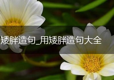 矮胖造句_用矮胖造句大全