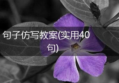句子仿写教案(实用40句)