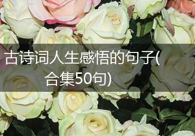 古诗词人生感悟的句子(合集50句)