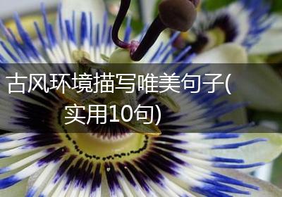 古风环境描写唯美句子(实用10句)