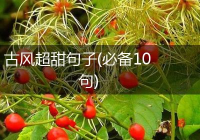 古风超甜句子(必备10句)