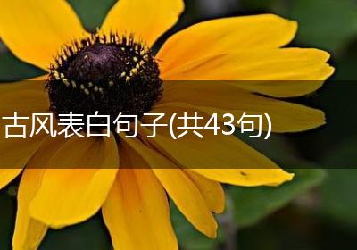 古风表白句子(共43句)