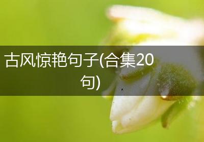 古风惊艳句子(合集20句)