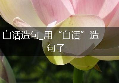 白话造句_用“白话”造句子