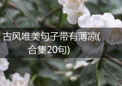 古风唯美句子带有薄凉(合集20句)