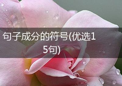 句子成分的符号(优选15句)