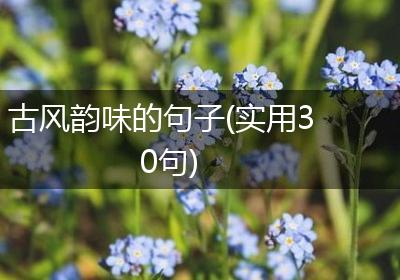 古风韵味的句子(实用30句)