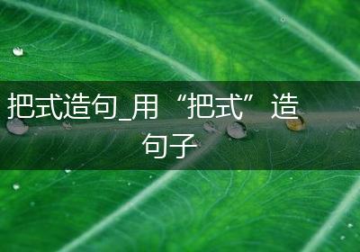 把式造句_用“把式”造句子
