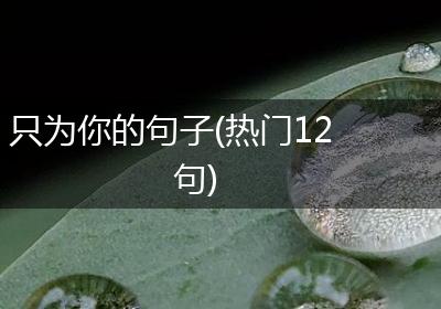 只为你的句子(热门12句)