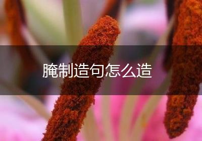 腌制造句怎么造