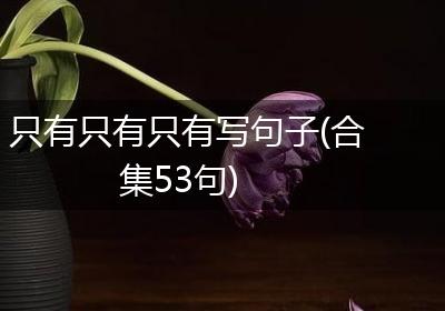 只有只有只有写句子(合集53句)