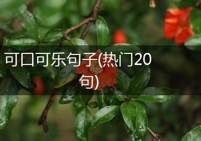 可口可乐句子(热门20句)