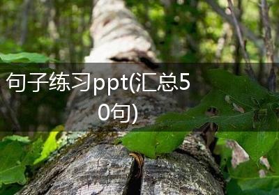 句子练习ppt(汇总50句)