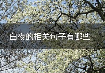 白夜的相关句子有哪些