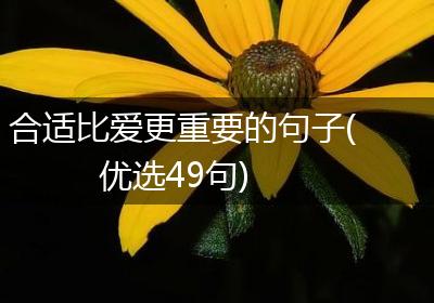 合适比爱更重要的句子(优选49句)