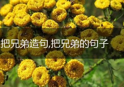 把兄弟造句,把兄弟的句子