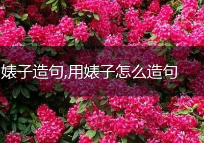 婊子造句,用婊子怎么造句