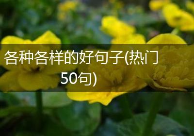 各种各样的好句子(热门50句)