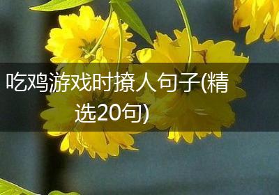 吃鸡游戏时撩人句子(精选20句)