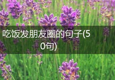 吃饭发朋友圈的句子(50句)