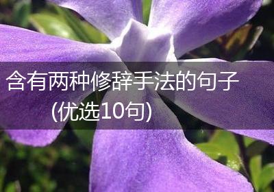 含有两种修辞手法的句子(优选10句)