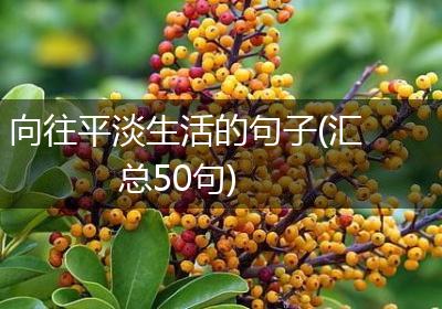 向往平淡生活的句子(汇总50句)