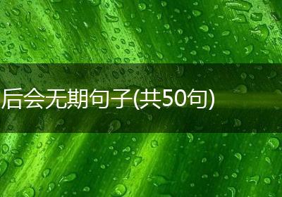 后会无期句子(共50句)