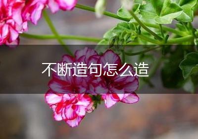 不断造句怎么造