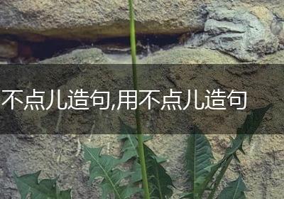 不点儿造句,用不点儿造句