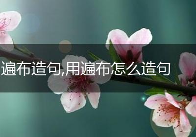 遍布造句,用遍布怎么造句
