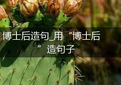 博士后造句_用“博士后”造句子