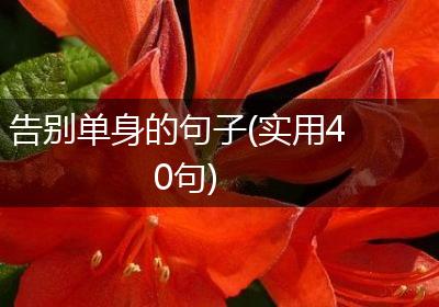 告别单身的句子(实用40句)
