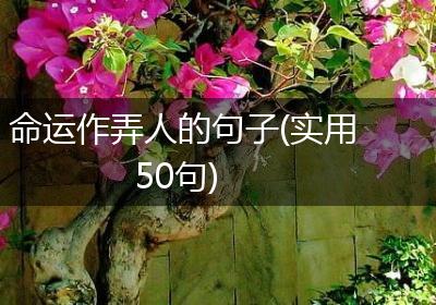 命运作弄人的句子(实用50句)