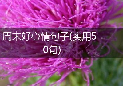 周末好心情句子(实用50句)