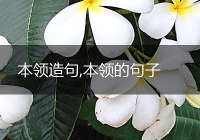 本领造句,本领的句子